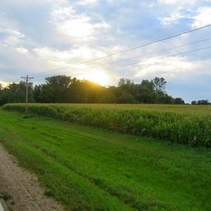 Meet your Posher, Anne